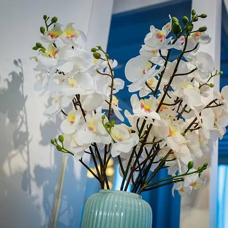 New & Luxurious Family By Arctic Homes * 罗瓦涅米